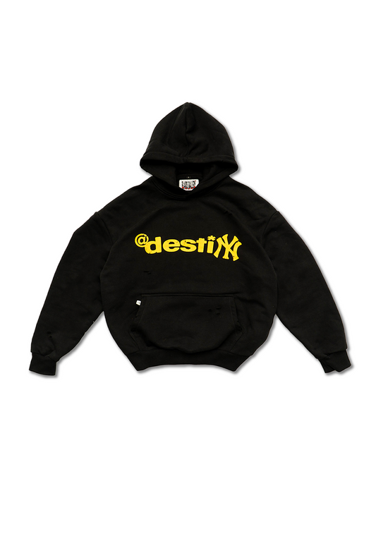 DESTINY HOODIE